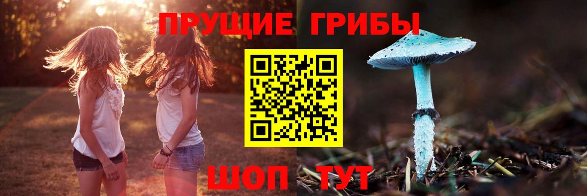Нововоронеж  купить закладку  Вход с VPN  Псилоцибиновые грибы Psilocybine cubensis 